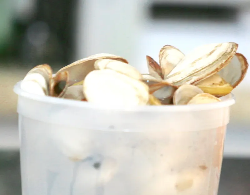 Bucket of steamed clams